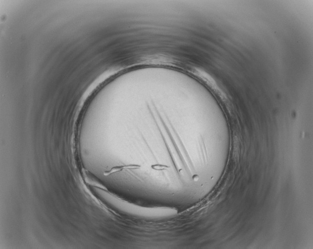 X0000086061331200704202051