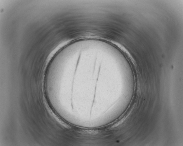 X0000086061333200704202051