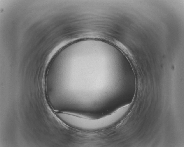 X0000086061334200704202051