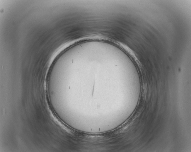 X0000086061335200704202051