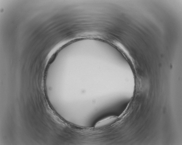 X0000086061336200704202051