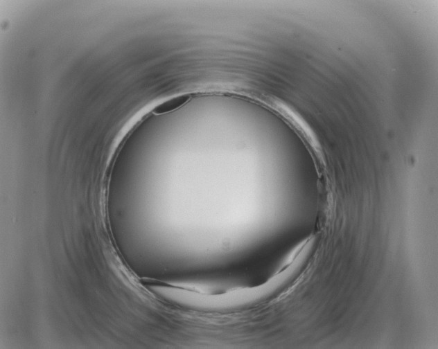 X0000086061340200704202051