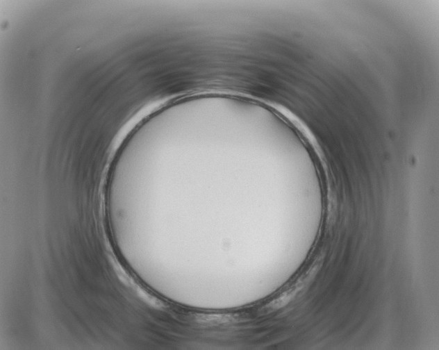 X0000086061341200704202051