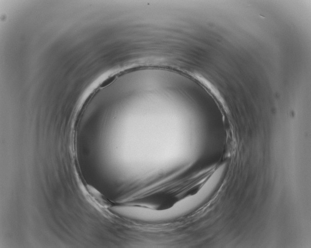 X0000086061342200704202051