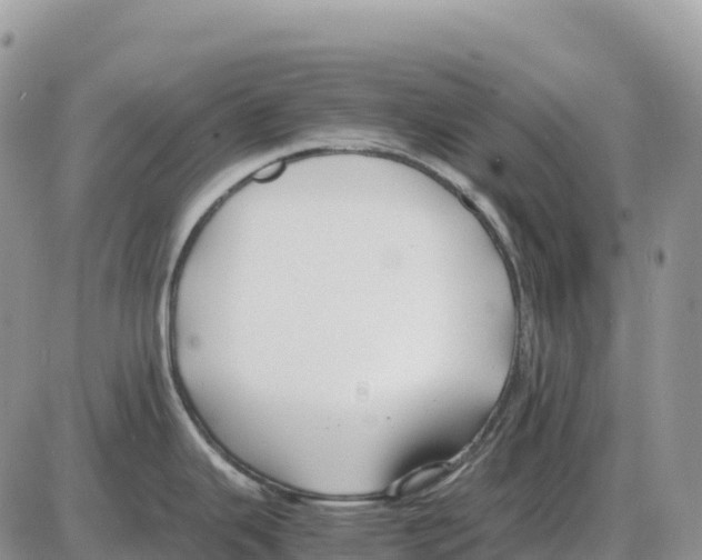 X0000086061343200704202051