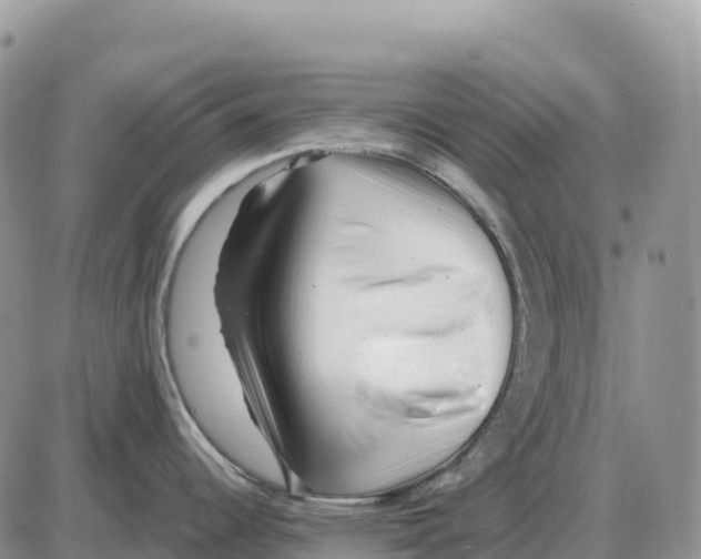 X0000086061344200704202051