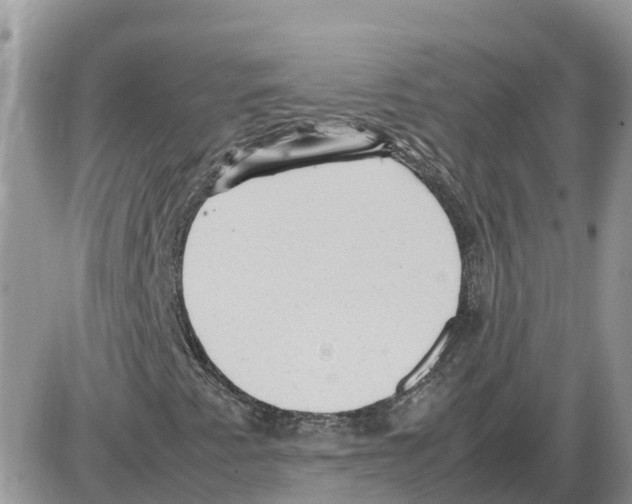 X0000086061345200704202051