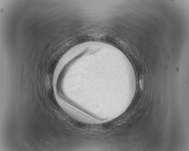 X0000086061347200704202050