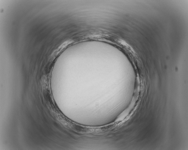 X0000086061353200704202050