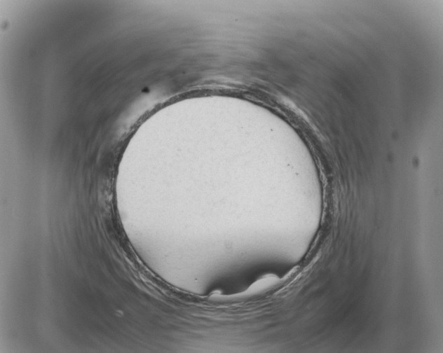 X0000086061355200704202050