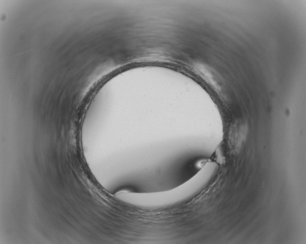 X0000086061356200704202050