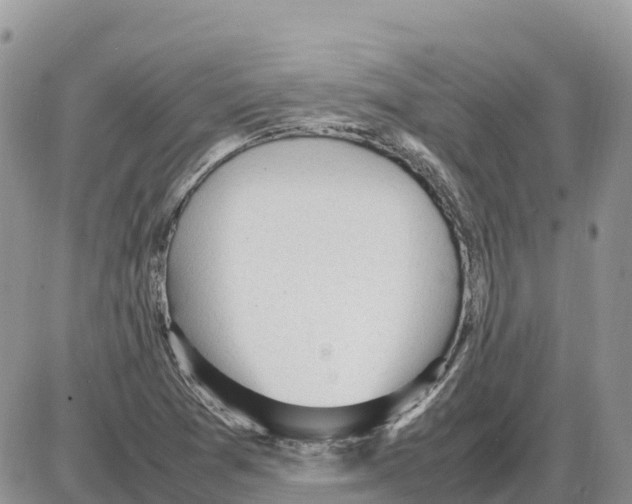 X0000086061361200704202050