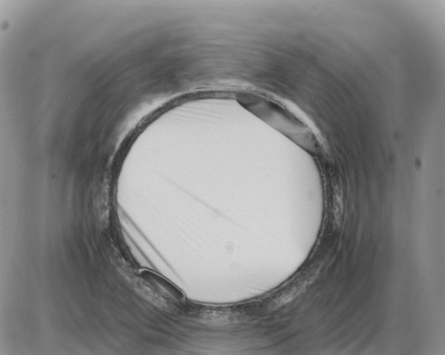 X0000086061364200704202050