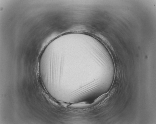 X0000086061366200704202050