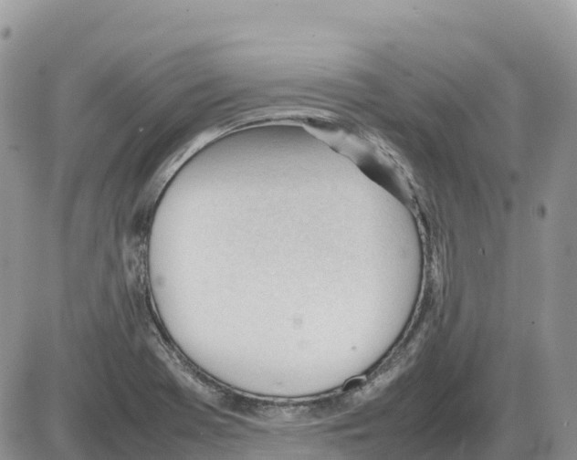 X0000086061369200704202050