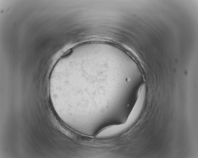 X0000086061371200704202050