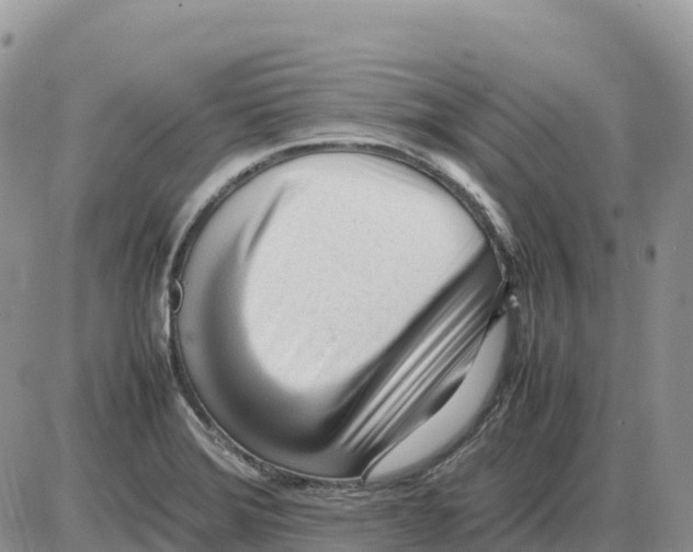 X0000086061372200704202050