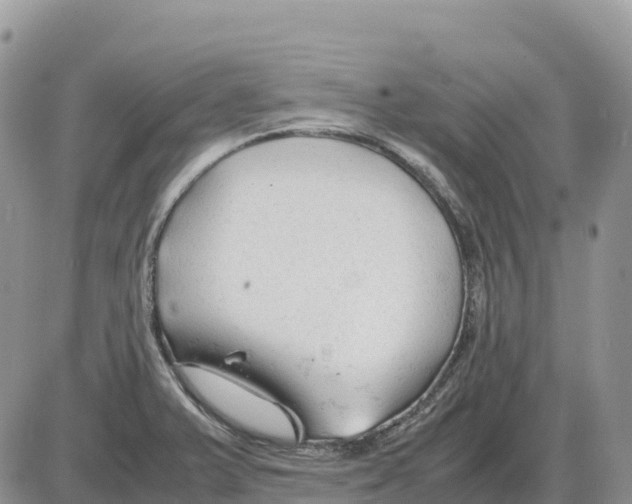 X0000086061375200704202050