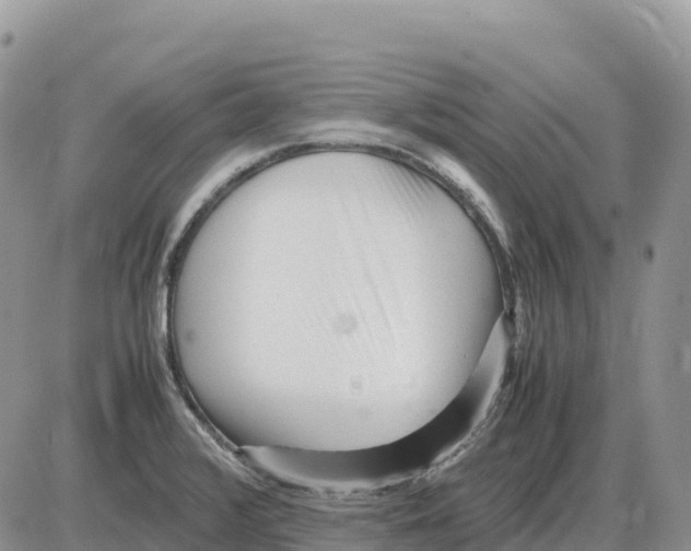 X0000086061376200704202050