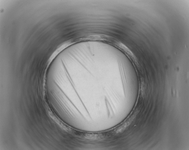 X0000086061378200704202050