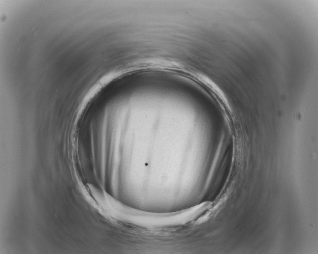 X0000086061381200704202050