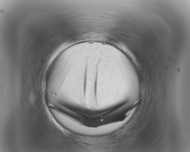 X0000086061383200704202050