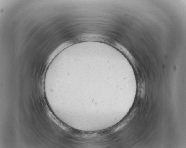 X0000086061386200704202050