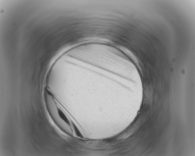 X0000086061391200704202050