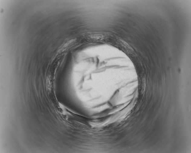 X0000086061394200704202049