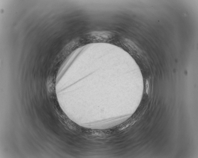 X0000086061395200704202049