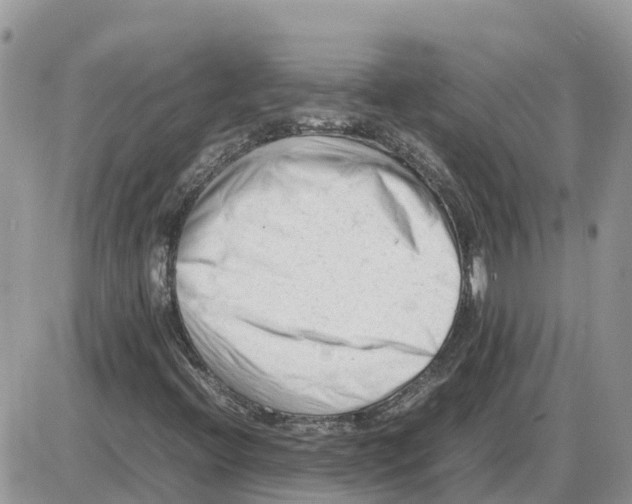 X0000086061396200704202049