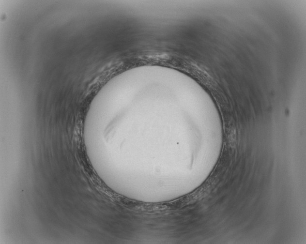 X0000086061397200704202049