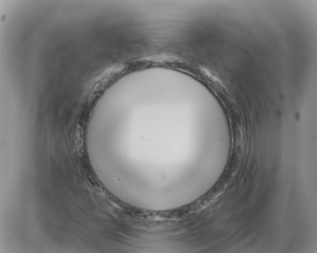 X0000086061398200704202049