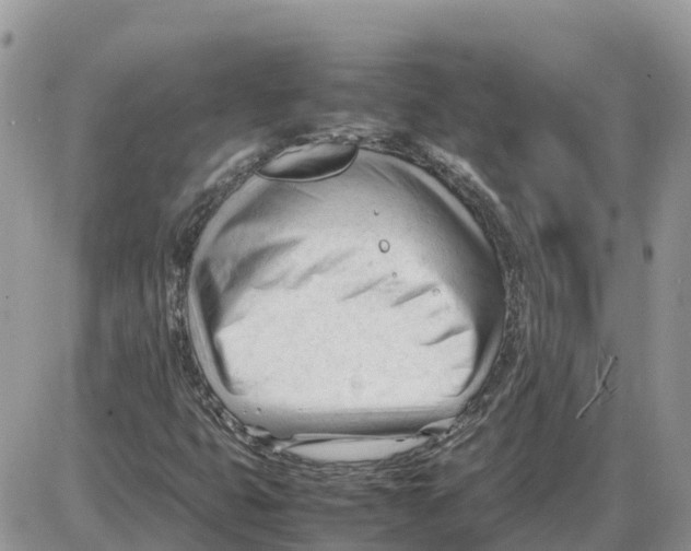 X0000086061399200704202049