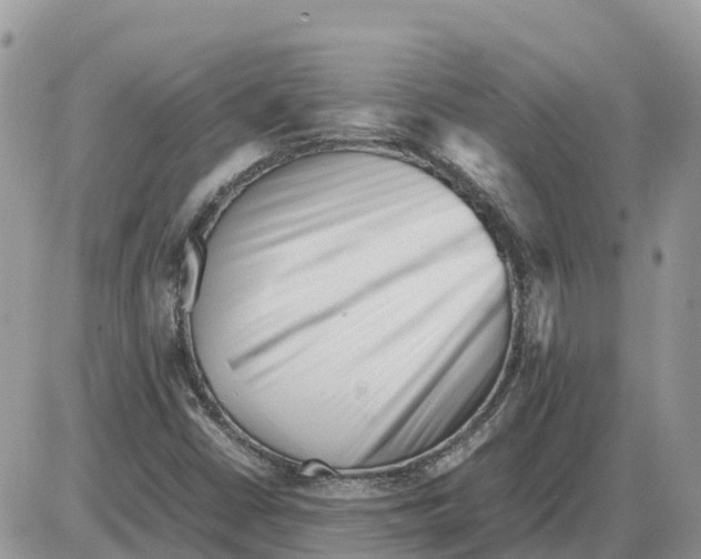 X0000086061402200704202049