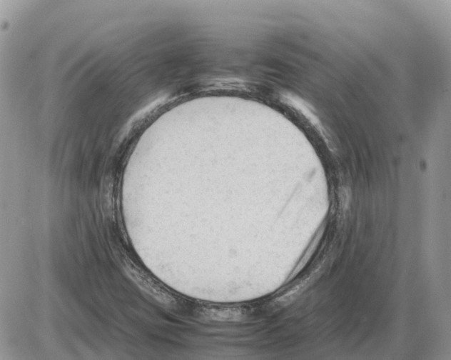 X0000086061403200704202049