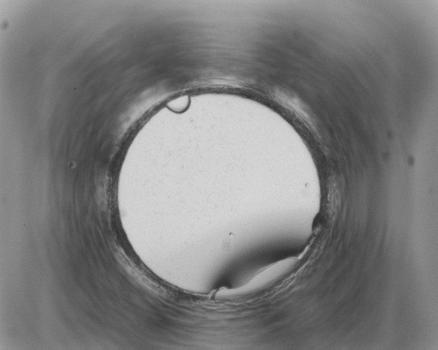 X0000086061404200704202049