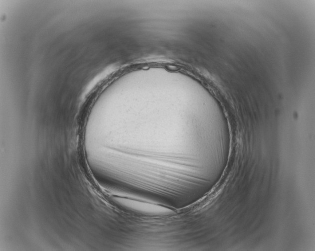 X0000086061406200704202049