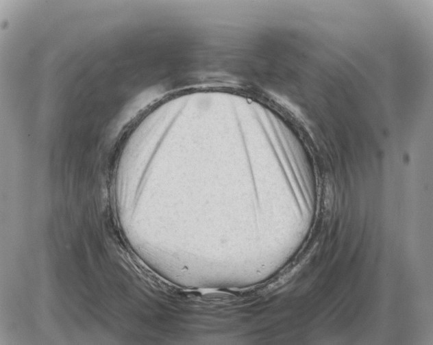 X0000086061407200704202049