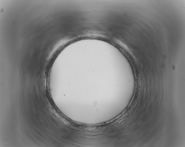 X0000086061408200704202049