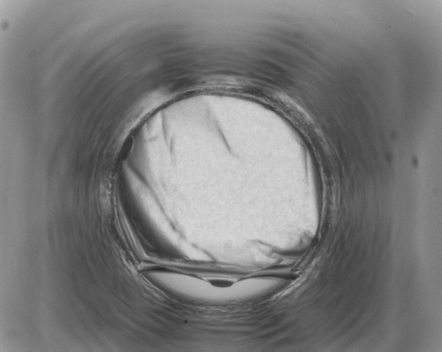 X0000086061409200704202049