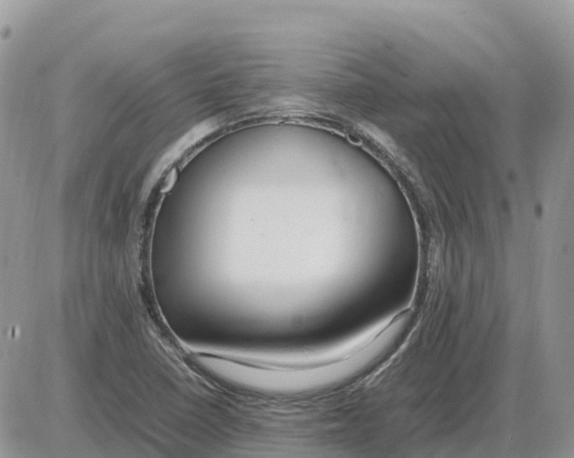 X0000086061410200704202049