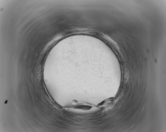 X0000086061411200704202049