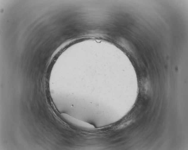 X0000086061412200704202049