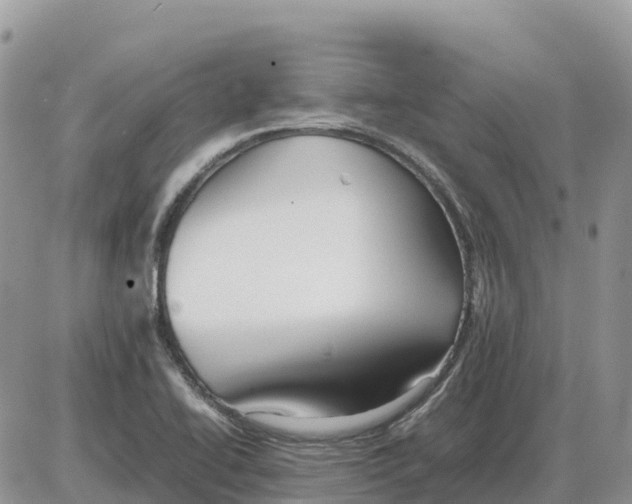 X0000086061414200704202049