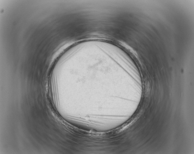 X0000086061415200704202049