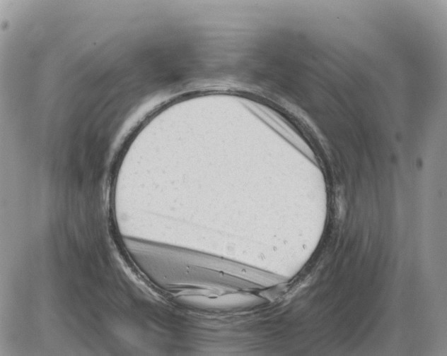 X0000086061416200704202049