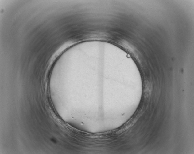 X0000086061419200704202049