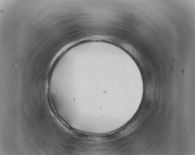 X0000086061420200704202049