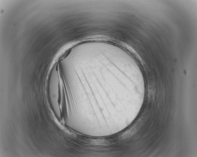 X0000086061421200704202049